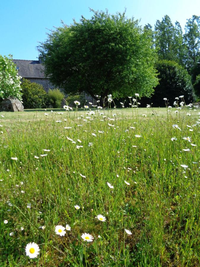 Ker Adsav O'Naturel Saint-Pierre-de-Plesguen Kültér fotó