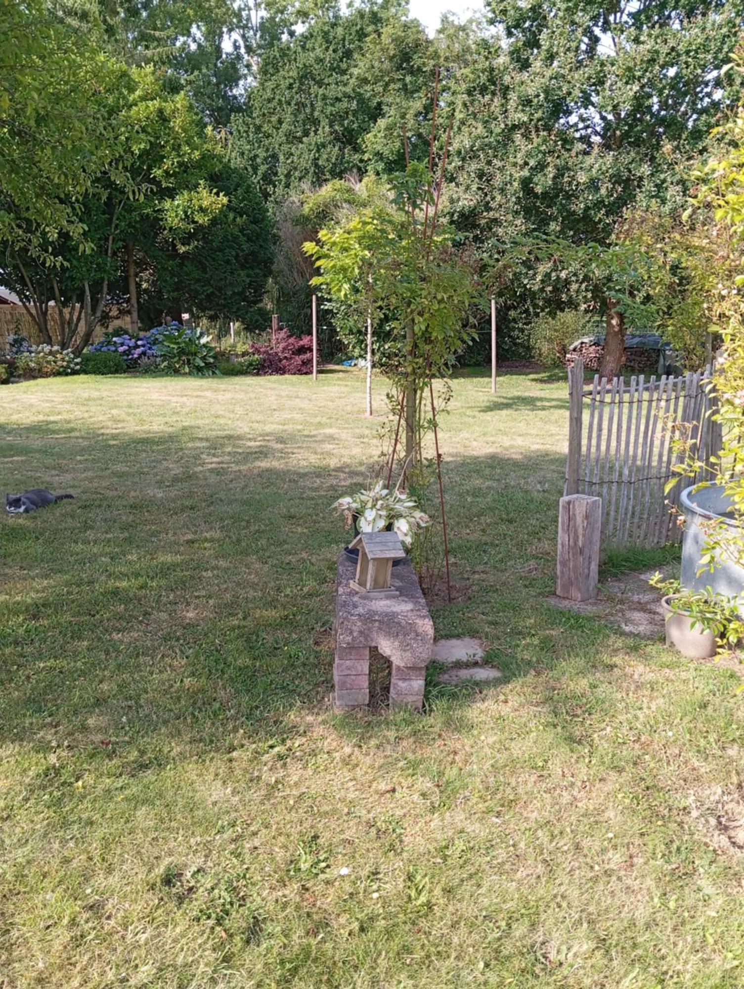 Ker Adsav O'Naturel Saint-Pierre-de-Plesguen Kültér fotó